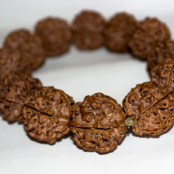 Rudraksha Mala
